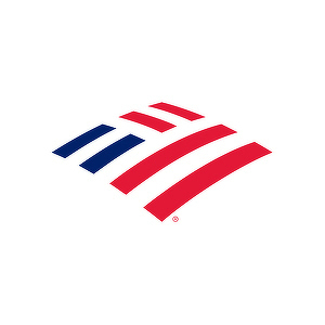 Bank of America, GFC